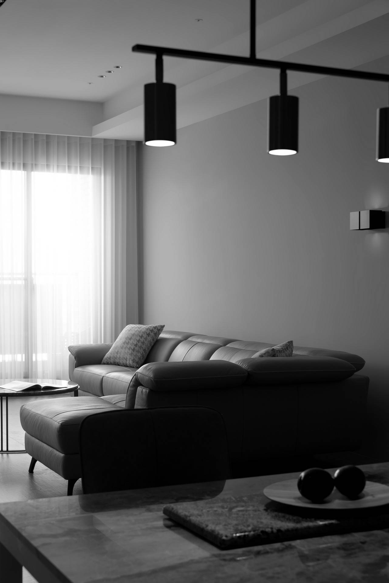 客廳沙發情境照