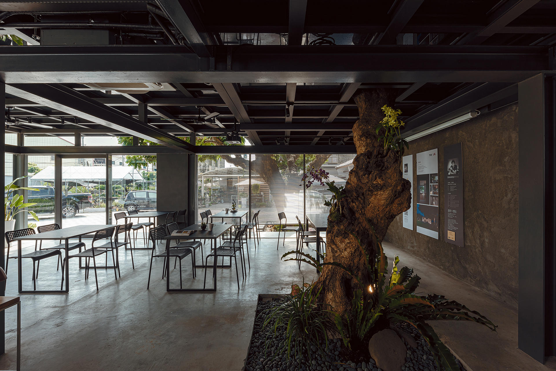 雲林 | 老樹入店的校長咖啡