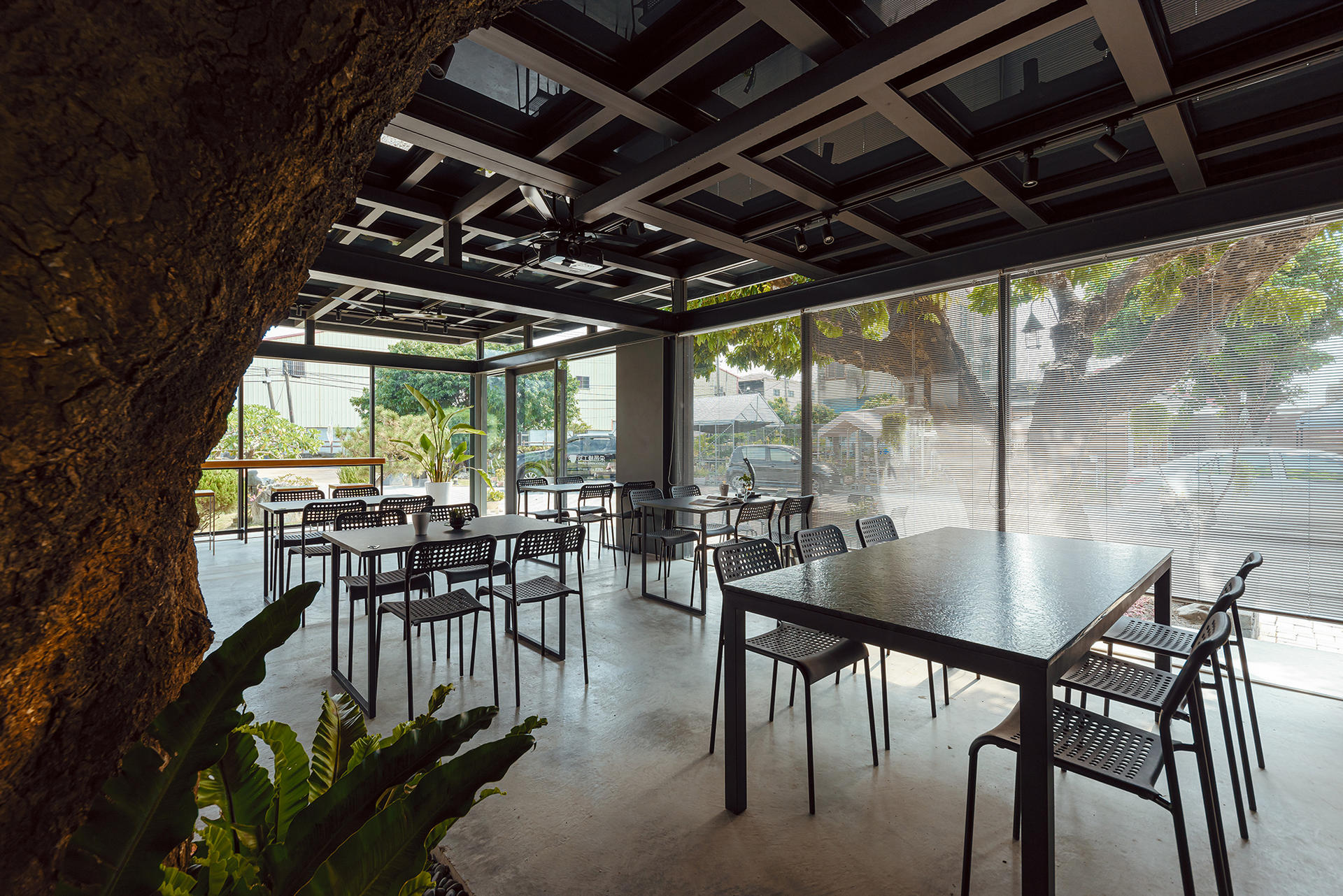 老樹與餐桌空間關係