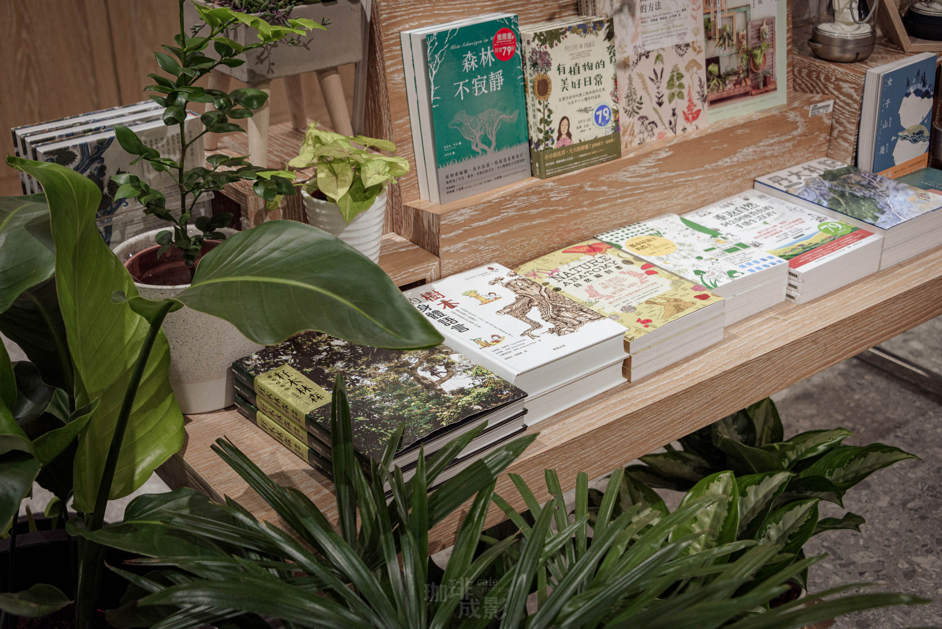 刊物展示櫃特寫