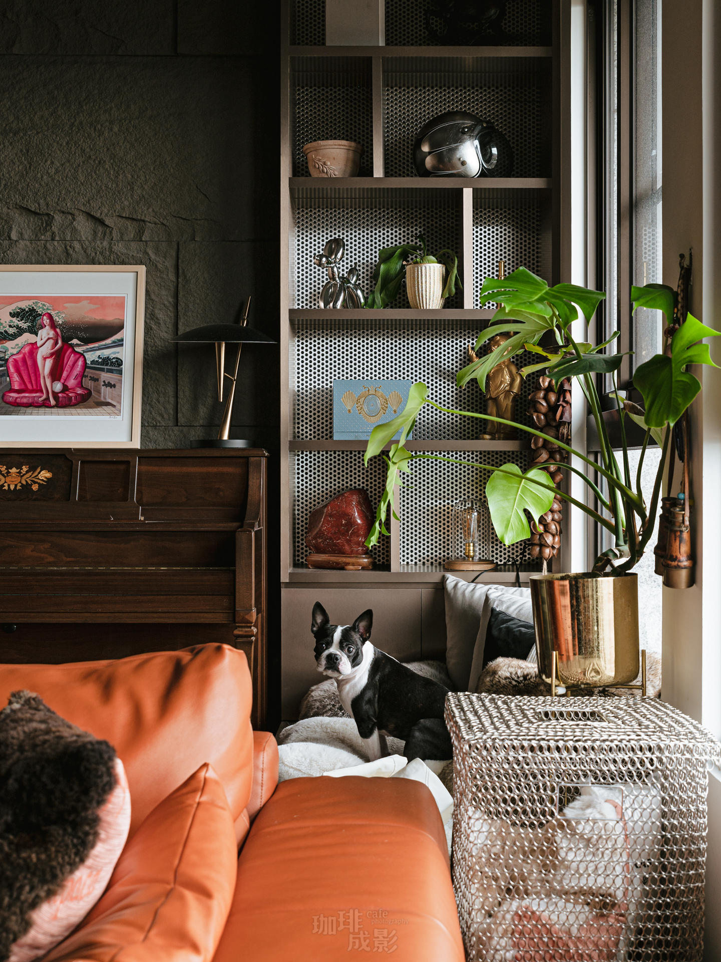 客廳展示櫃特寫