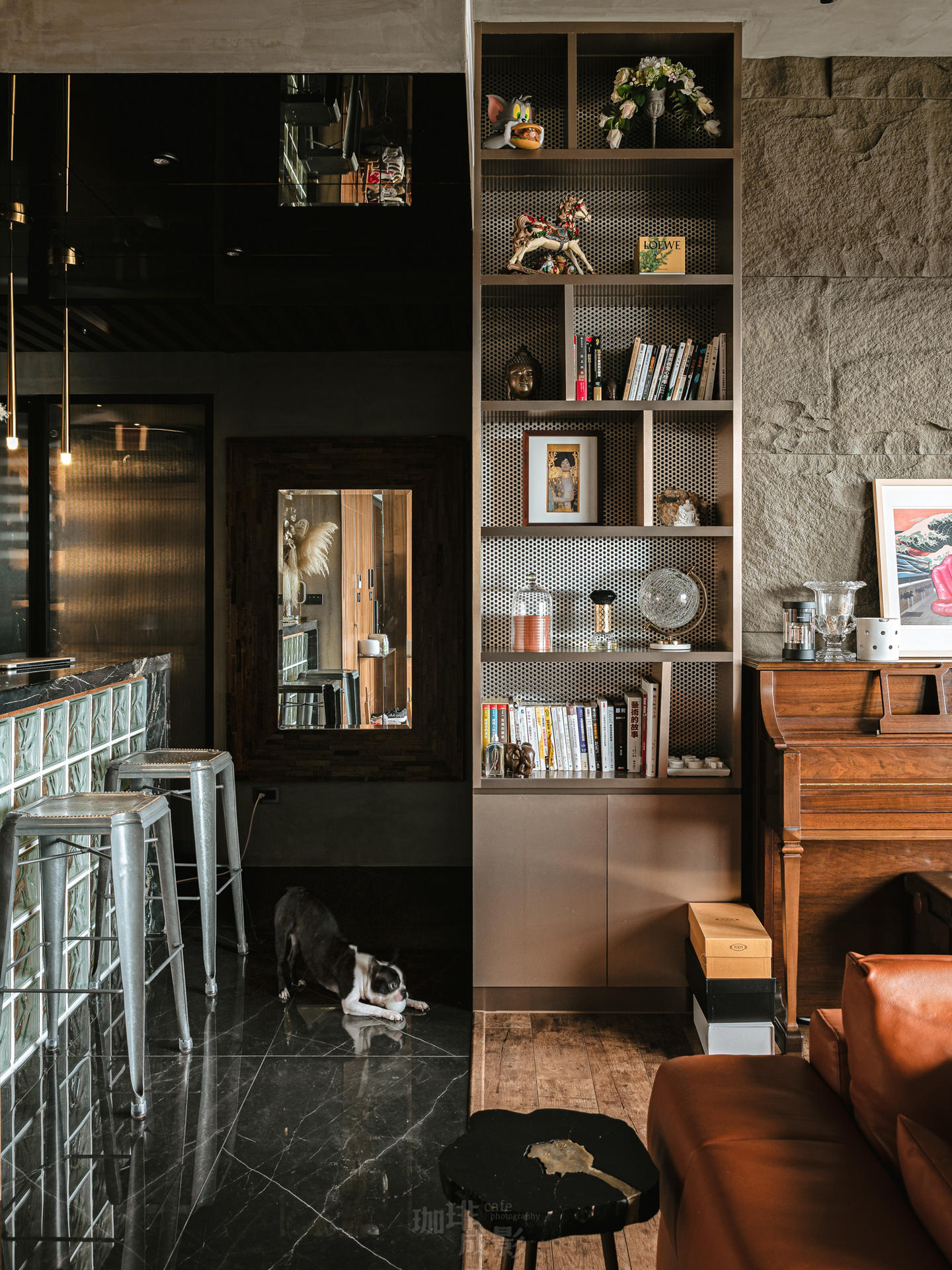 客廳展示櫃旁走道與狗狗